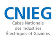 CNIEG - Caisse Nationale des Industries Electriques et Gazières