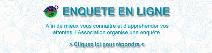 Enquête en ligne Amicale Energies 2013